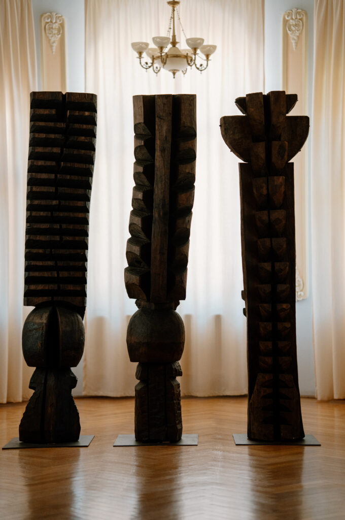 lucian-crestez-sedinta-foto-a-mirilor-casa-culturala-nicapetre